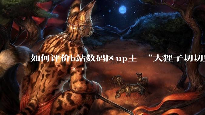 如何评价b站数码区up主 “大狸子切切里”?