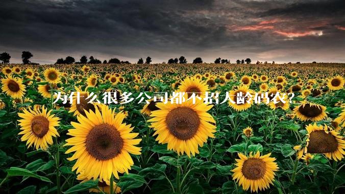 为什么很多公司都不招大龄码农？