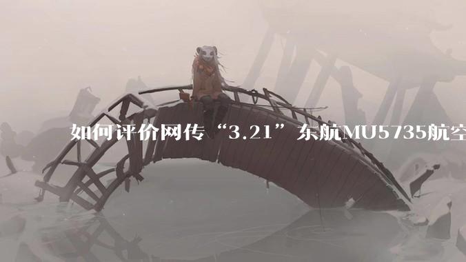 如何评价网传“3.21”东航MU5735航空器飞行事故调查进展情况通报决定不予公开？