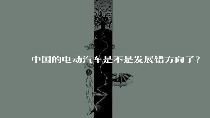 中国的电动汽车是不是发展错方向了？