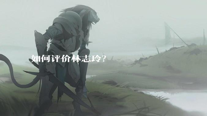 如何评价林志玲？