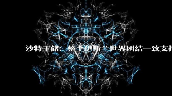 沙特王储：整个伊斯兰世界团结一致支持伊朗，你怎么看？