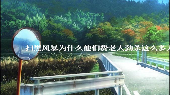 扫黑风暴为什么他们费老大劲杀这么多人不如直接把督导组干掉？