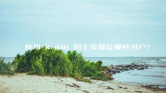 使用 Reddit 的主要都是哪些用户？