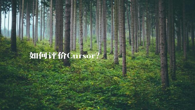 如何评价Cursor？