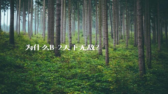 为什么B-2天下无敌？
