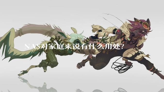 NAS对家庭来说有什么用处？